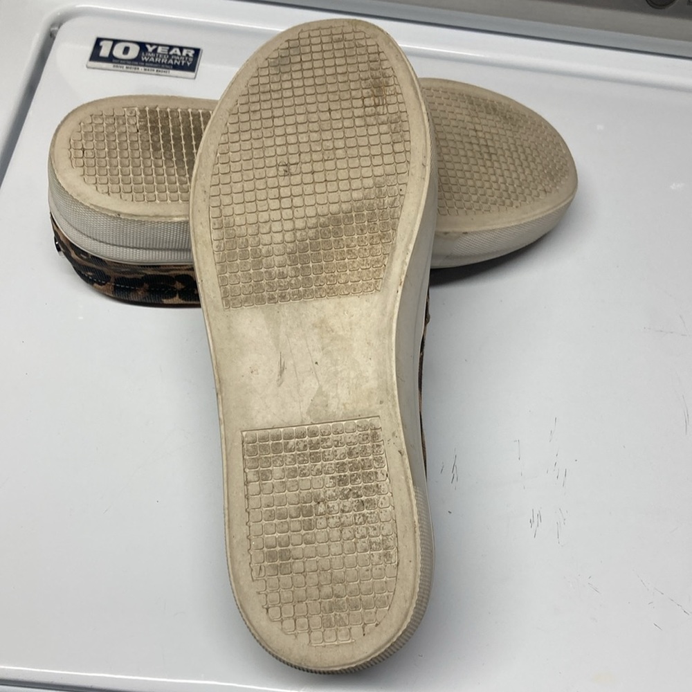 Zapatillas Steve Madden Gills Para Mujer | Meses sin interés